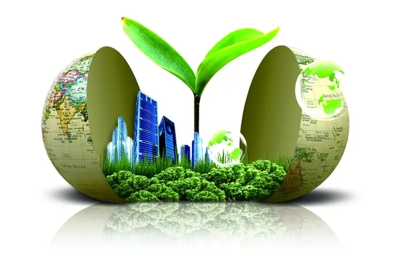 國內(nèi)政策分析