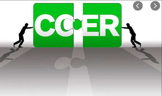 CCER簡介